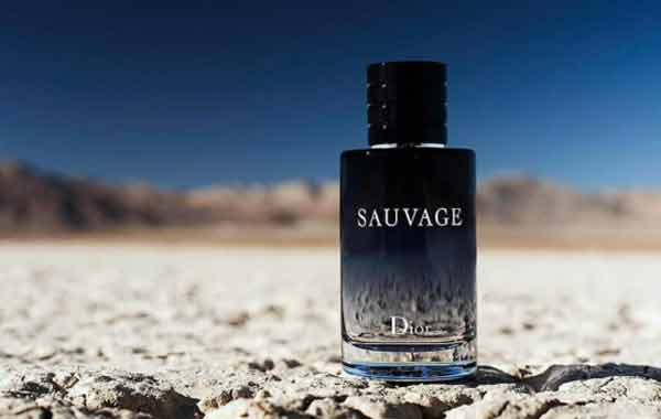 ادکلن دیور ساواج Dior Sauvage