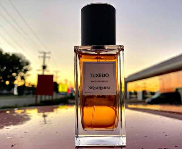 ادکلن ایو سن لورن YSL Tuxedo