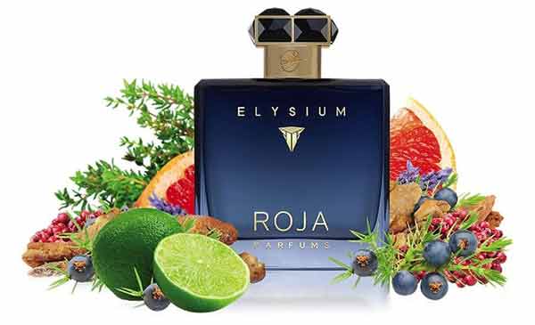 ادکلن های کوالیتی ROJA Elysium